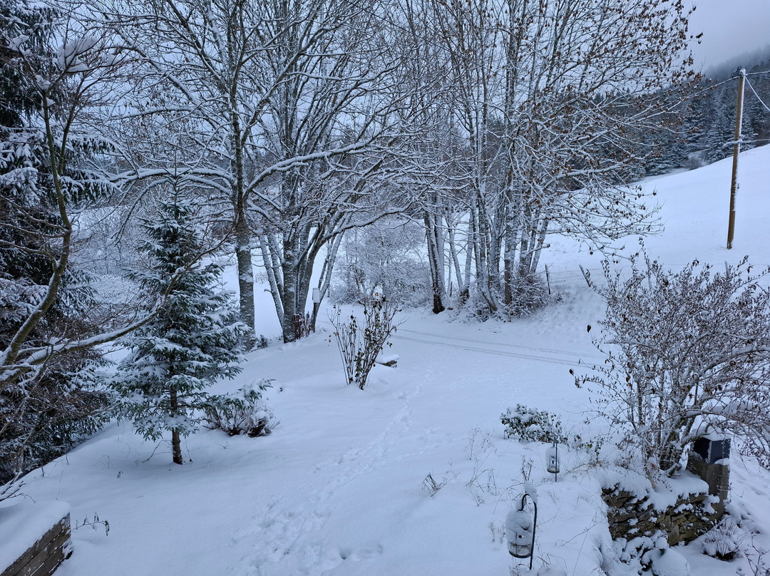 Ville-du-Pont酒店住宿-Maison Le Rozet