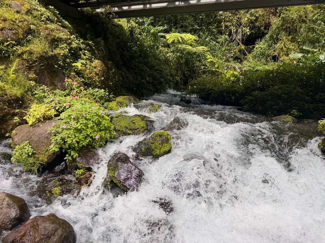 Tahiti Safari Expedition-阿鲁埃必去景点