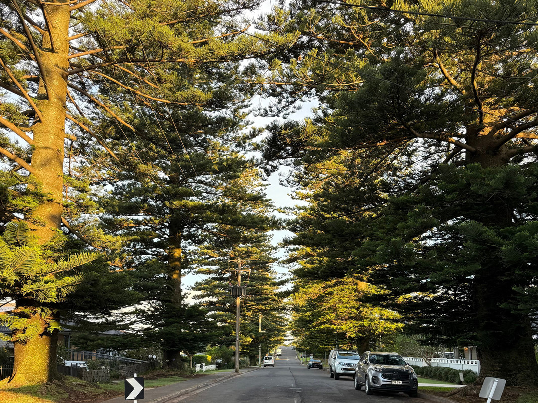 帕克里奇休闲酒店主图