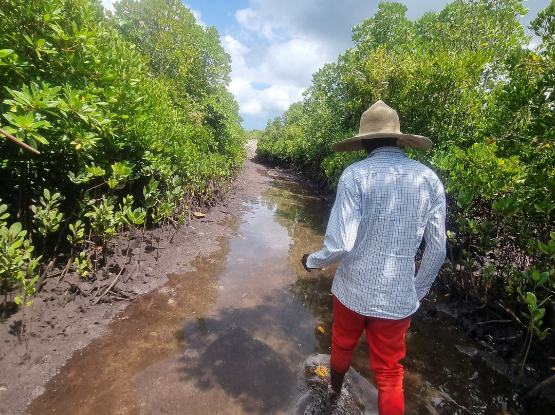 ECO KAYAK ZANZIBAR-桑给巴尔市必去景点