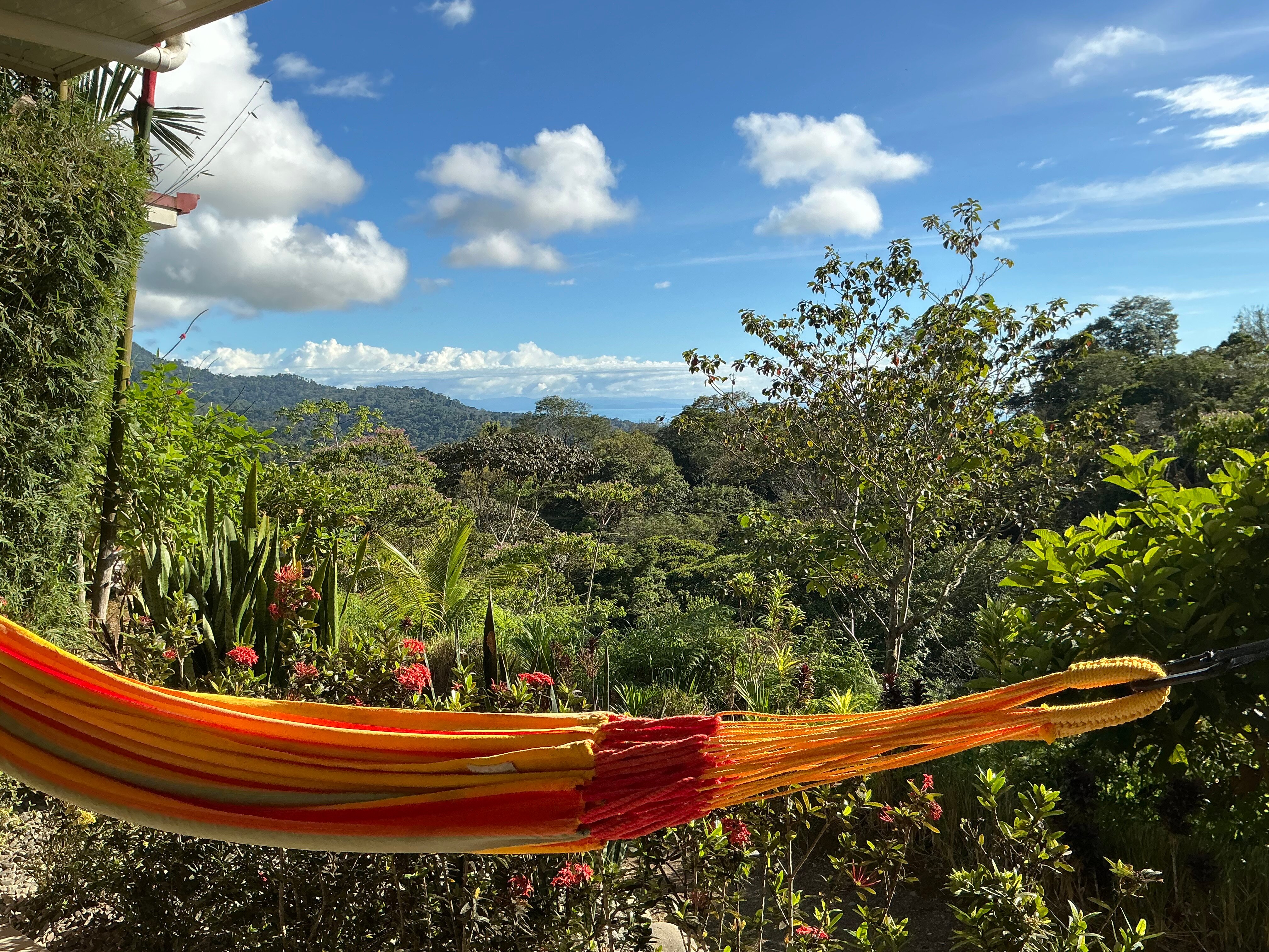 Natures Edge Boutique Hotel-酒店景观