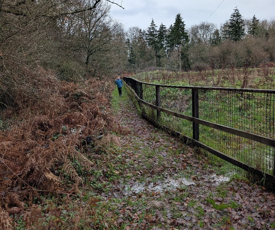 Itchen Valley Country Park-伊斯特利必去景点