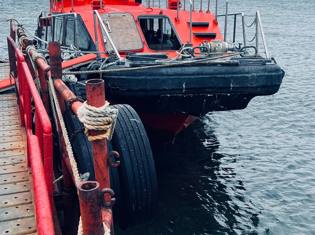 Isla Magdalena-蓬塔阿雷纳斯必去景点