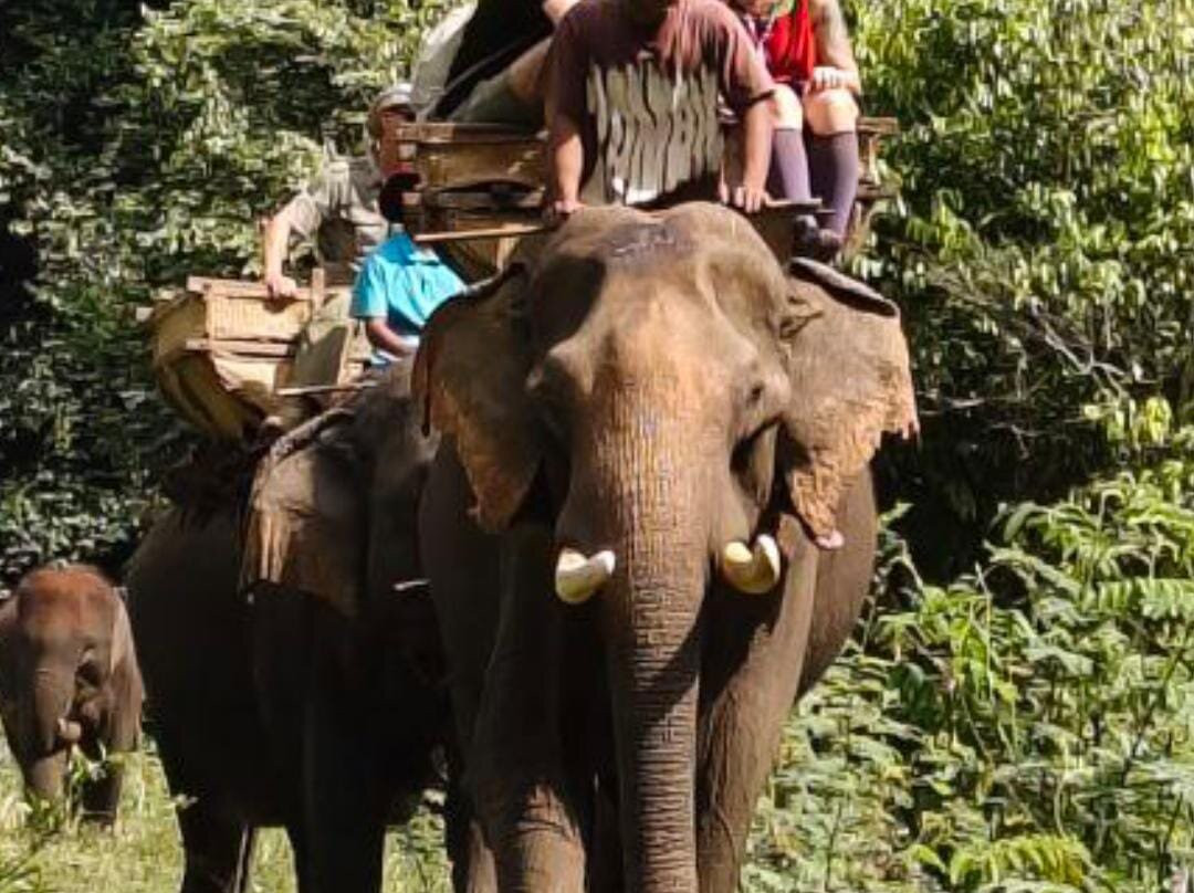 Airavata Elephant Foundation-邦隆必去景点