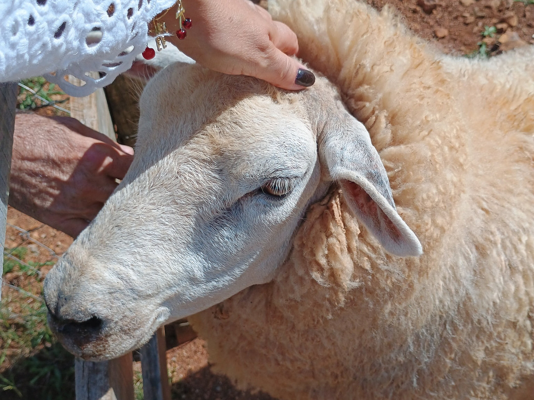 Casa Sander-Nova Petropolis必去景点