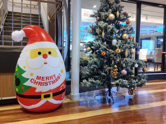 Mol Ferry Sunflower-苫小牧市必去景点