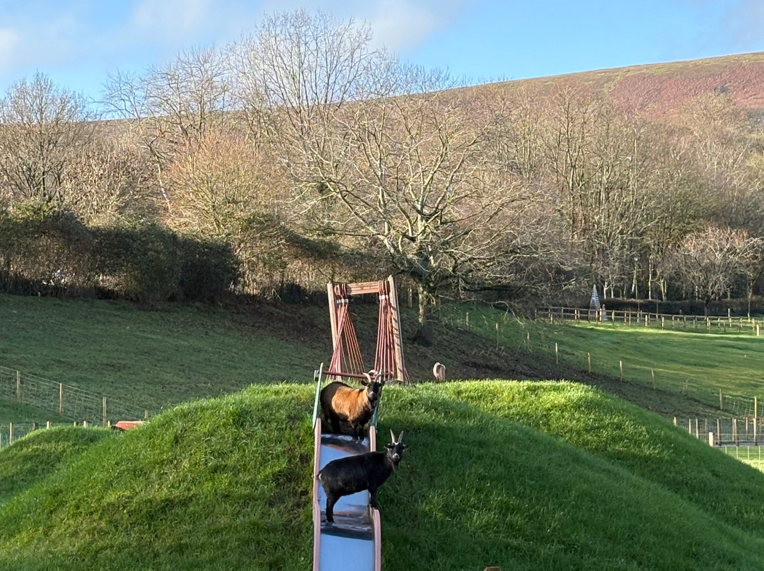 Greenmeadow Community Farm-Cwmbran必去景点