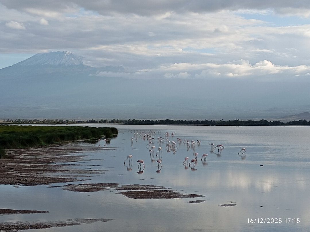 Amboseli National Park-Amboseli Eco-system必去景点