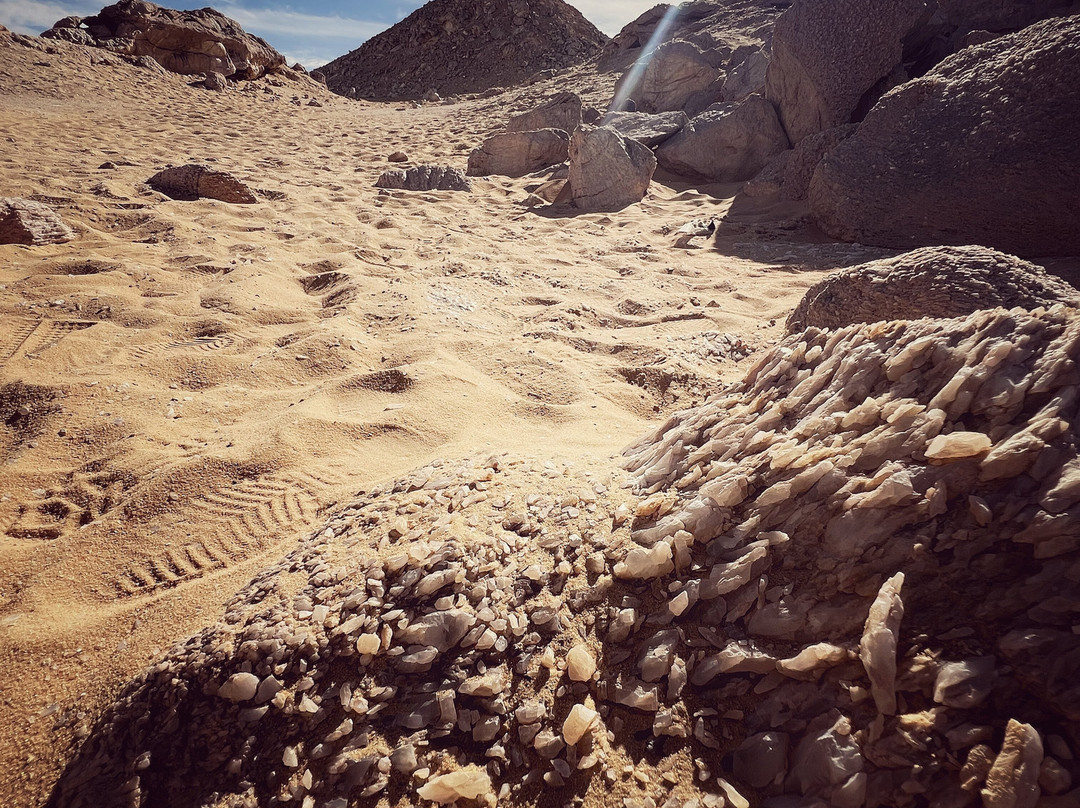 tamer safari-开罗必去景点