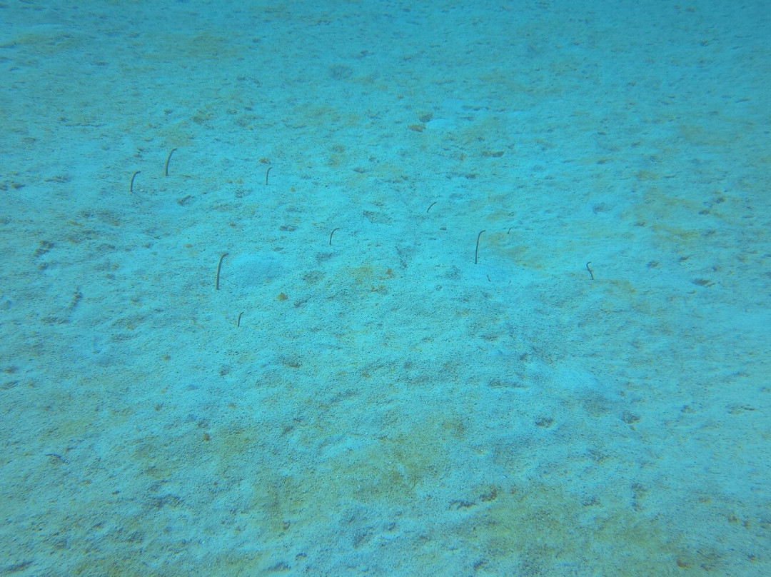 Seaklub la Romana-拉罗马纳必去景点