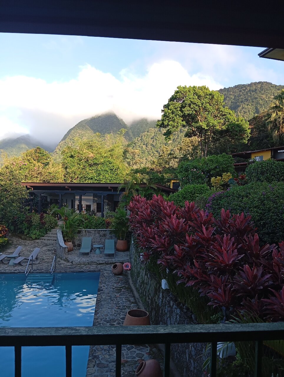 The Golden Frog Inn-官方