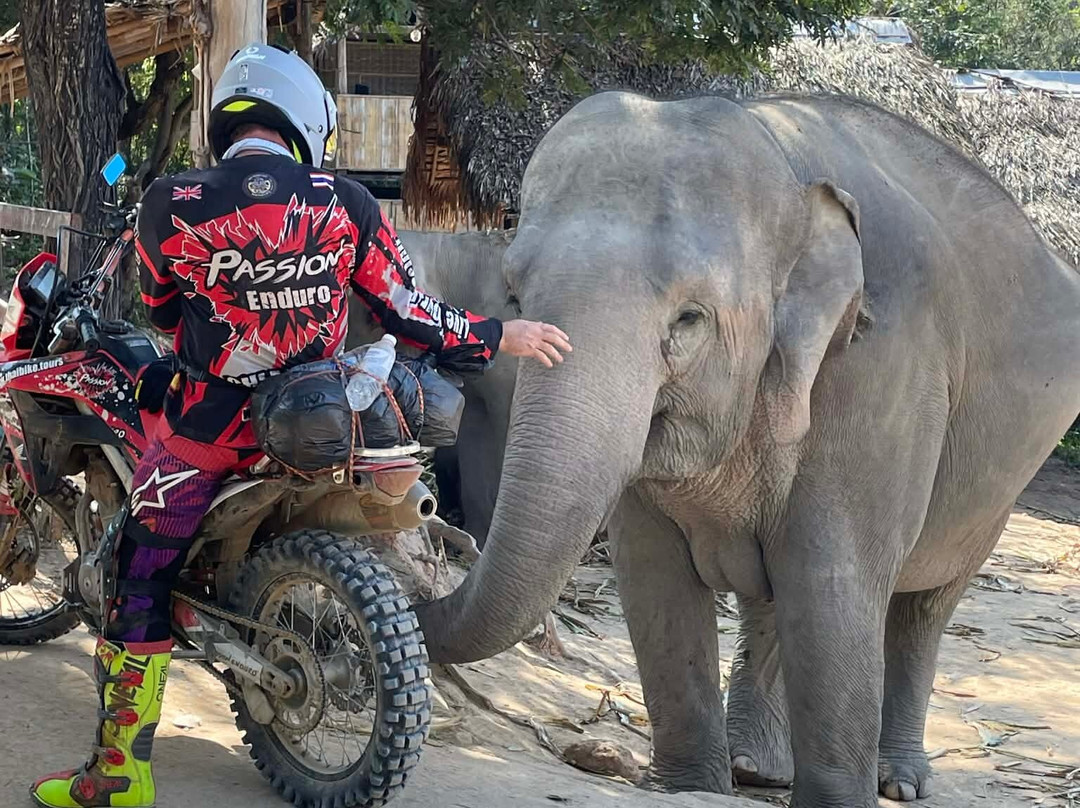 Thai Bike Tours-Nam Phrae必去景点