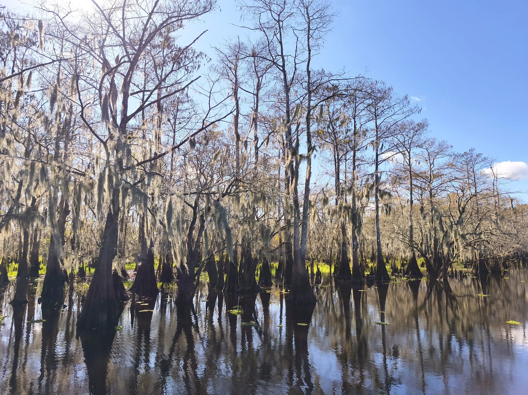 AirBoat Rides at Midway-Christmas必去景点