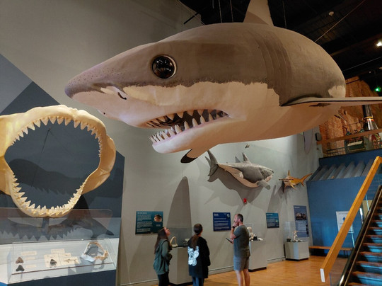 South Carolina State Museum-哥伦比亚必去景点