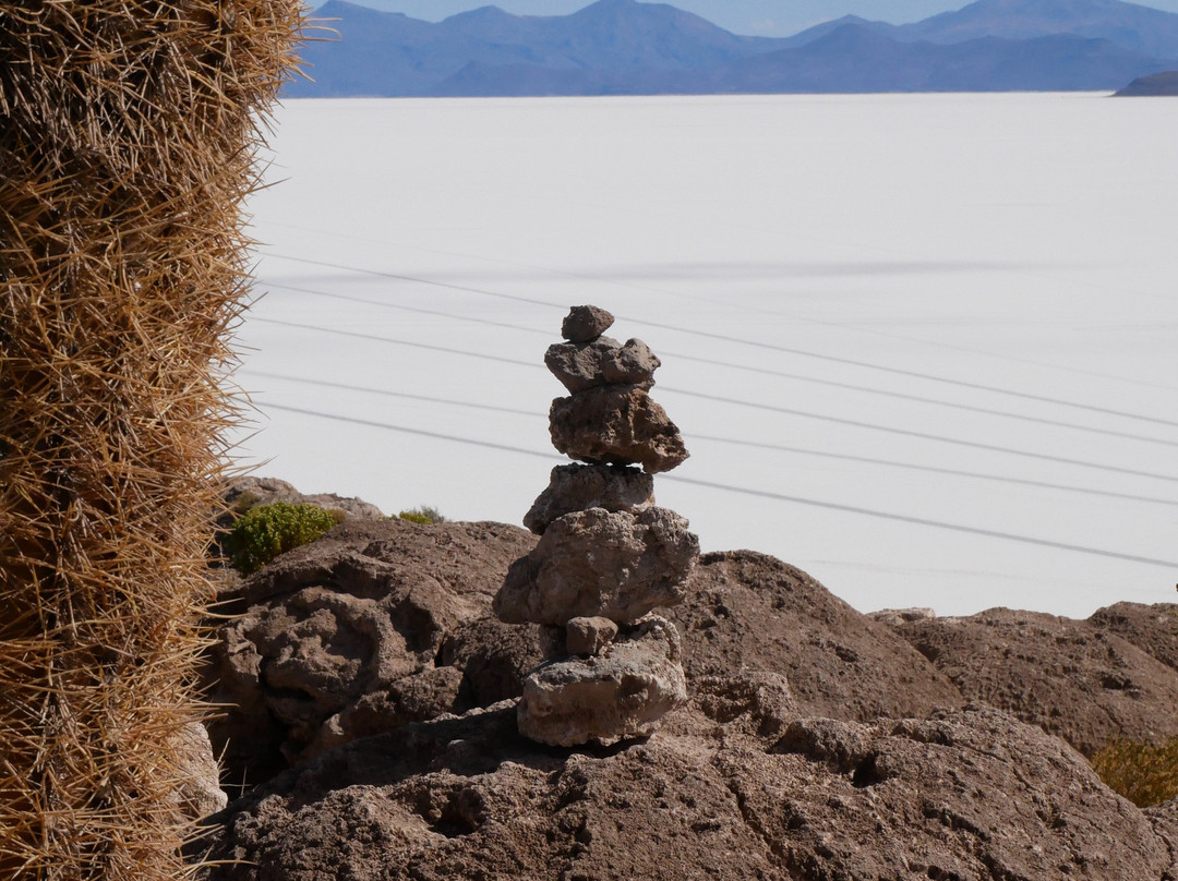 Isla Incahuasi-乌尤尼必去景点