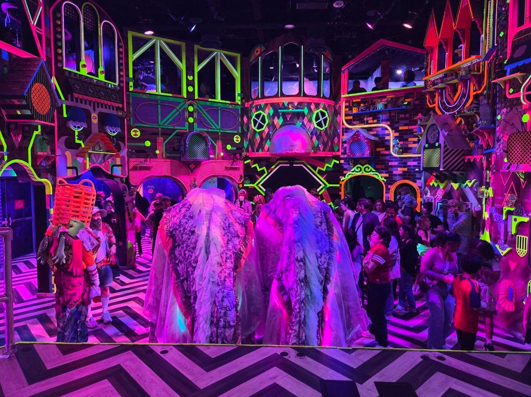 Meow Wolf Grapevine-葡萄藤必去景点