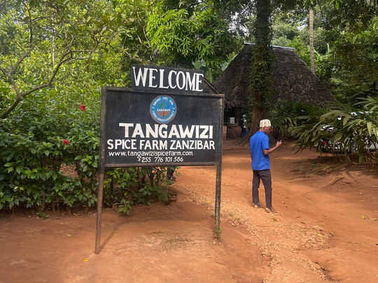 Tangawizi Spice Farm-石头城必去景点