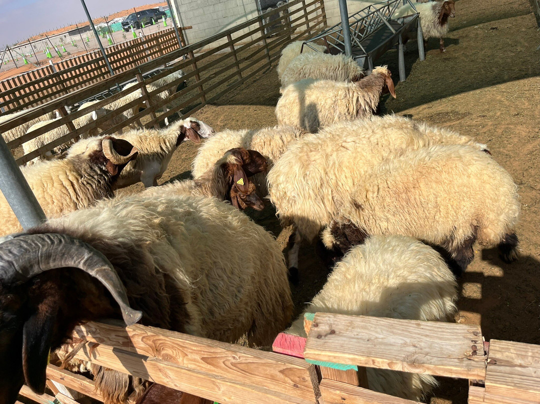 Emirates Bio Farm-阿布扎比酋长国必去景点