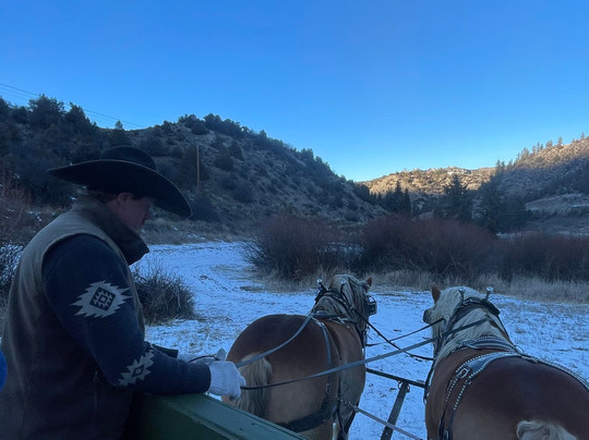 Bearcat Stables-Edwards必去景点