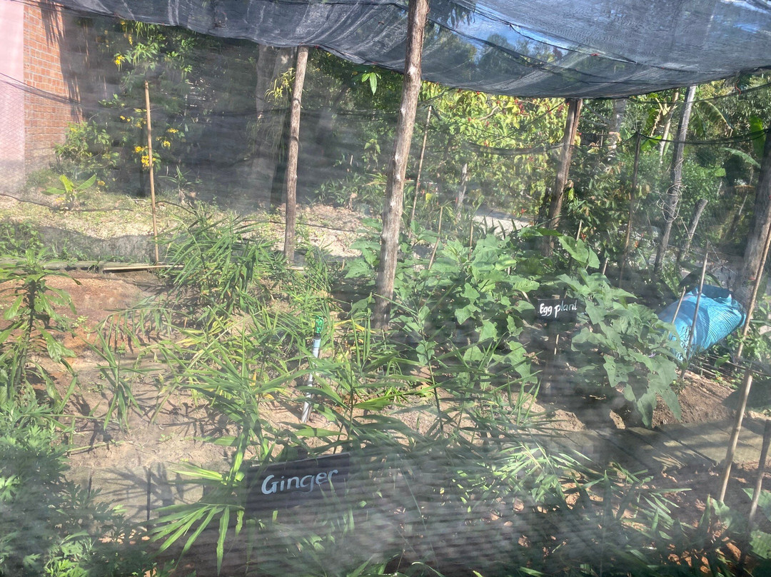 Phu Quoc Countryside-富国岛必去景点