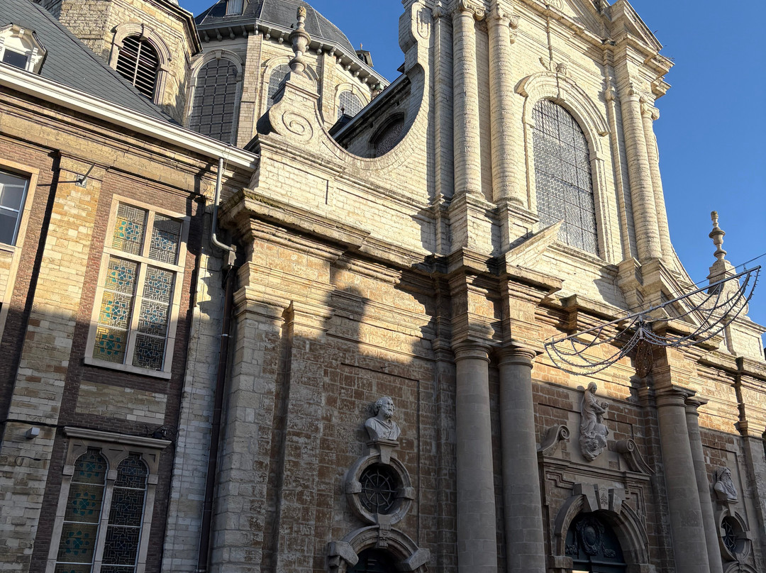 Onze-Lieve-Vrouw van Hanswijk-梅赫伦必去景点