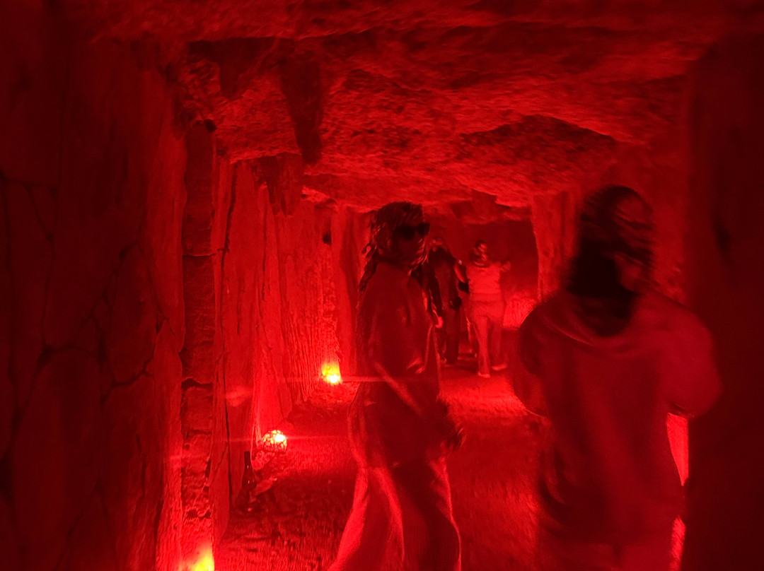 Sun Safari-沙姆沙伊赫必去景点