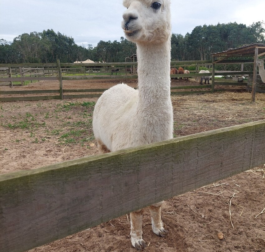 Monte Da Bemposta主图