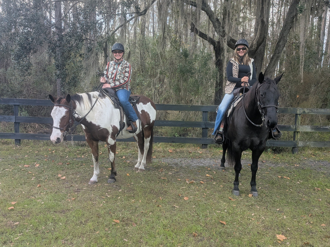 Black Prong Adventures Horseback Riding And Carriage Tours In The Goethe State Forest-Bronson必去景点