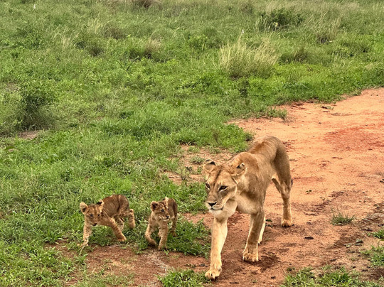 Enjoy Collection Tours and Safaris-马林地必去景点
