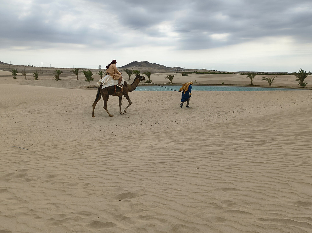 Dromedarius-伊卡必去景点