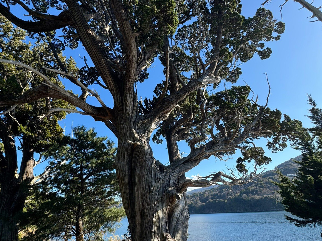 Ose Shrine-沼津市必去景点