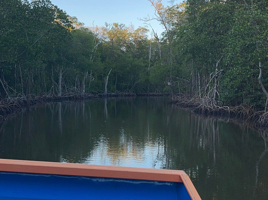 Everglades City Airboat Tours-大沼泽地必去景点