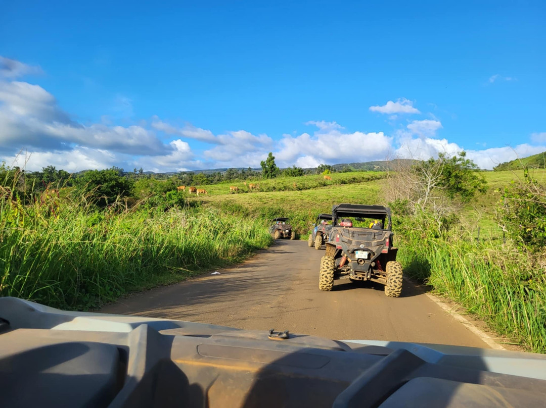 Crazy Adventures Réunion-Mont-Vert les Hauts必去景点