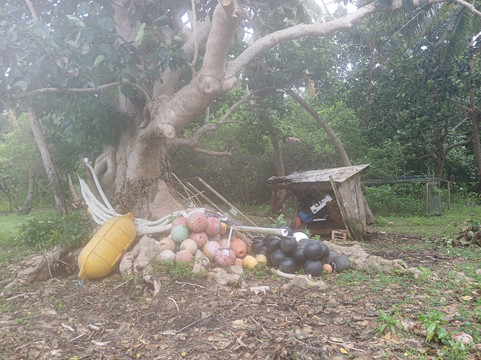 Treasure Island Eueiki Eco Resort主图