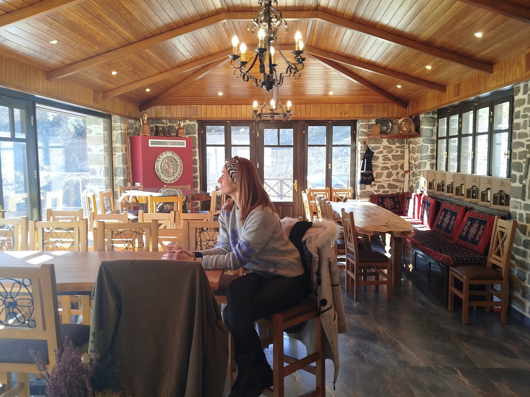 Monastery of Agiou Nikolaou, Metsovo-迈措沃必去景点