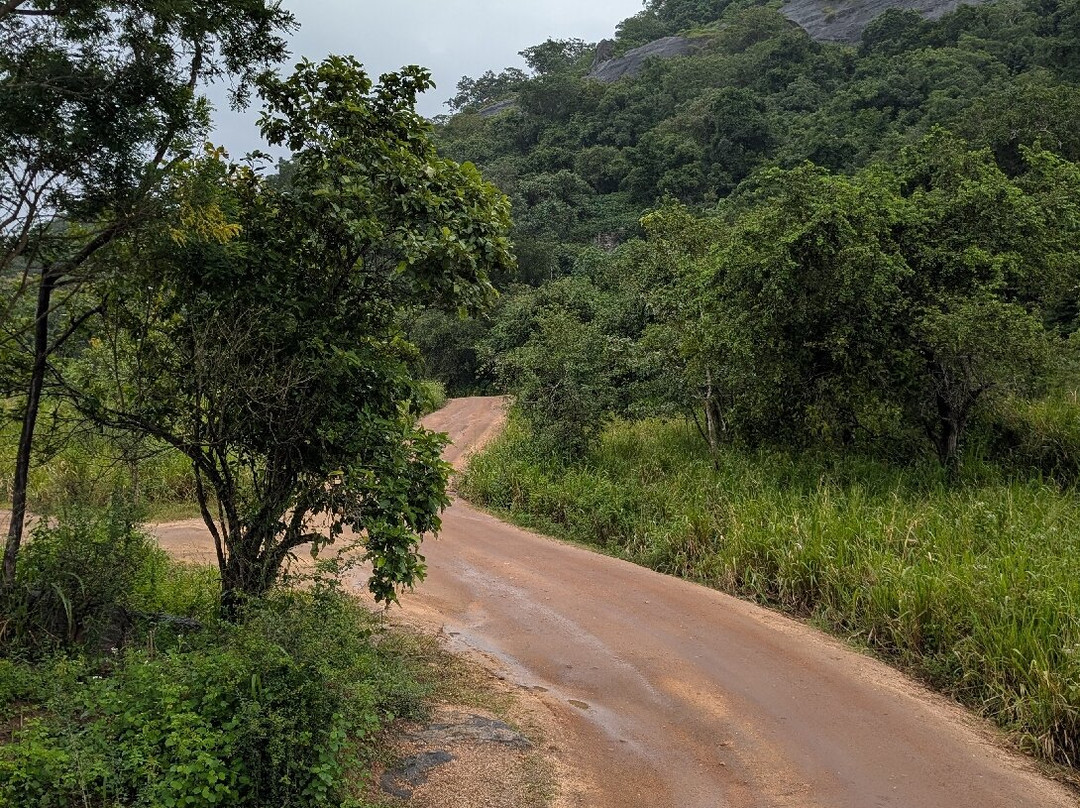 Minneriya Nimal Safari-哈巴拉娜必去景点