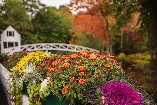 Somesville Museum and Gardens-山漠岛必去景点