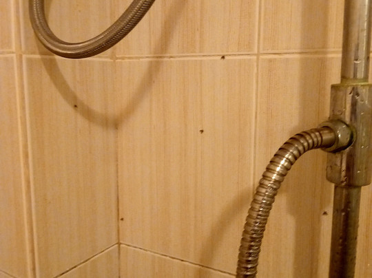 威尔克里斯度假村主图