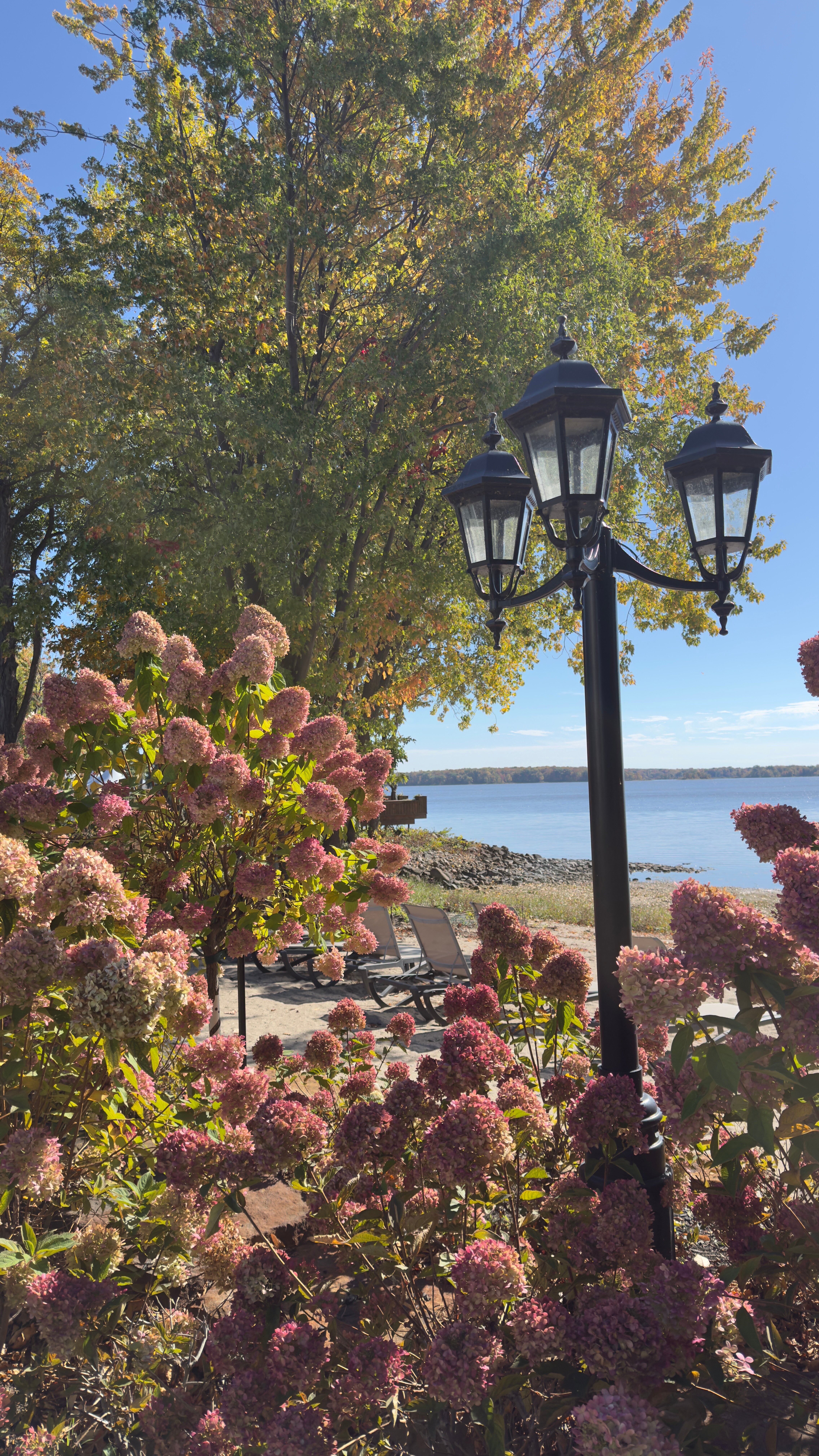 Château Vaudreuil-浴室