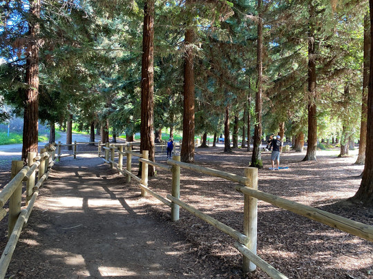 Carbon Canyon Regional Park-Brea必去景点