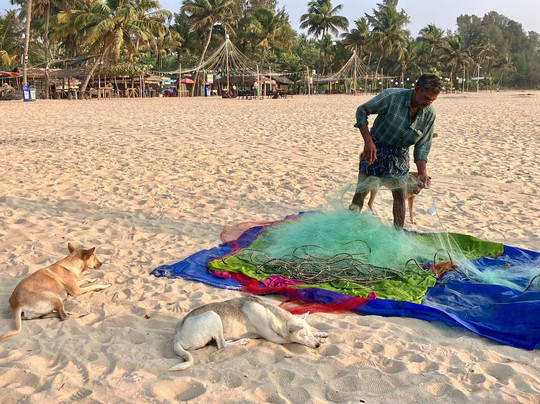 Marari Beach-Mararikulam必去景点