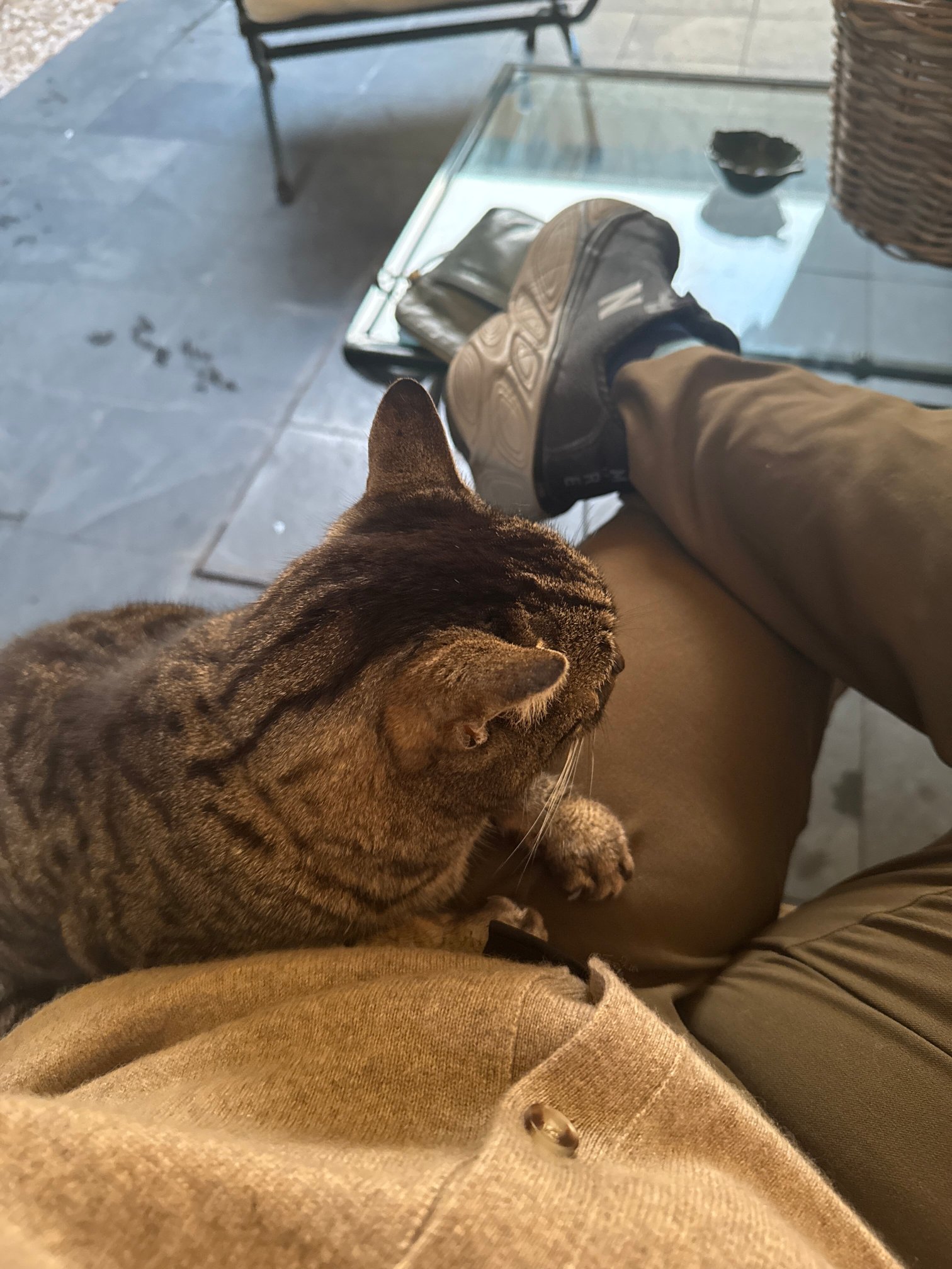 圣玛利亚酒店-官方