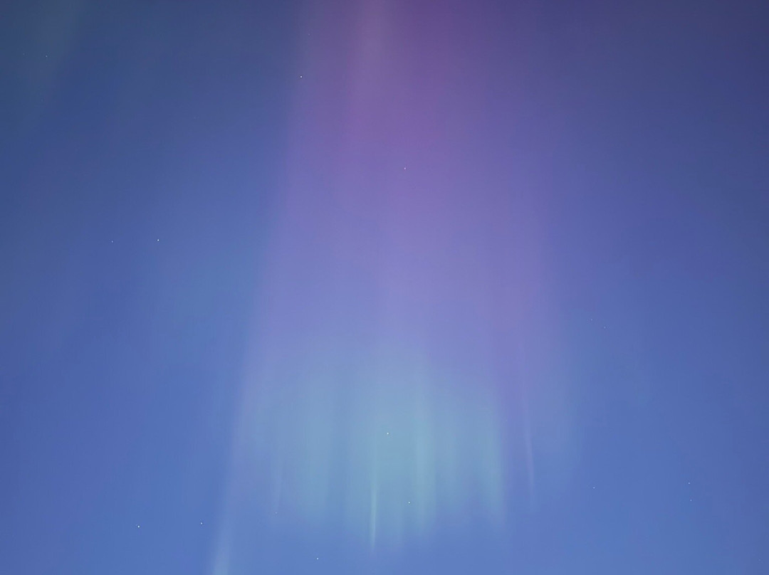 FjordSafari-弗洛姆必去景点