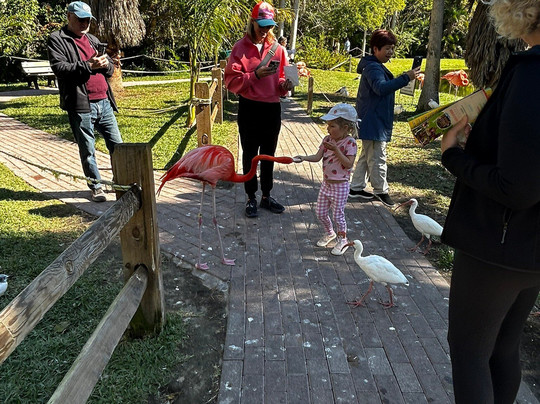 Marie Selby Botanical Gardens-萨拉索塔必去景点