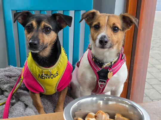 Hope Park-凯瑟克必去景点