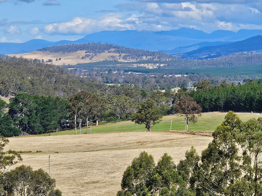 哈姆雷特丘陵地区住宿主图