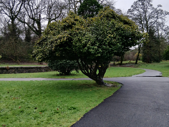 Johnstown Castle-County Wexford必去景点