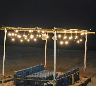 The Windmill Resorts主图