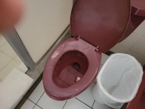 弗拉明戈滨海酒店-官方