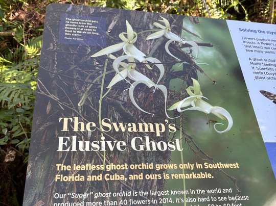 螺旋沼泽鸟兽禁猎区-那不勒斯必去景点